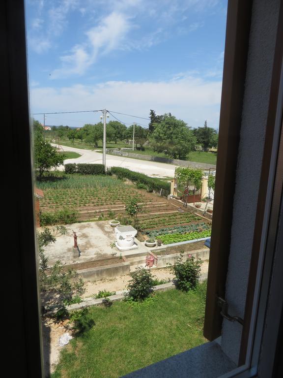 Filipovic Apartments With Pool Biograd Na Moru Eksteriør billede